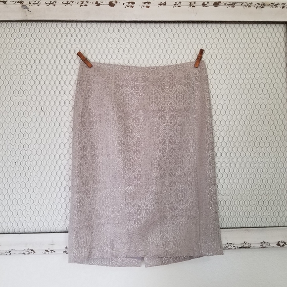 Ann Taylor Dresses & Skirts - Ann Taylor Velvet Shimmer Beige A-line Skirt